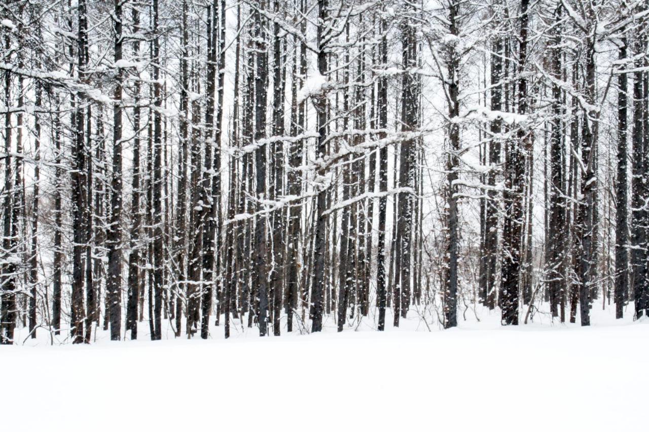 Niseko Northern Resort, An'Nupuri Bagian luar foto